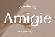 Amigie – Display Serif, a Serif Font by Craft Supply Co. (Thumbnail 1 of 8)