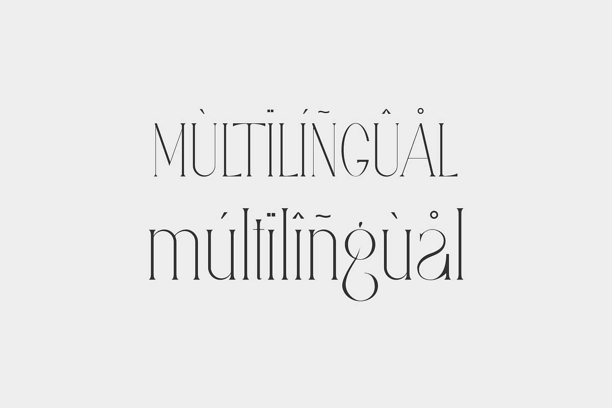 Safing ligature serif typeface, a Serif Font by yaqublekker (Photo 8 of 9)