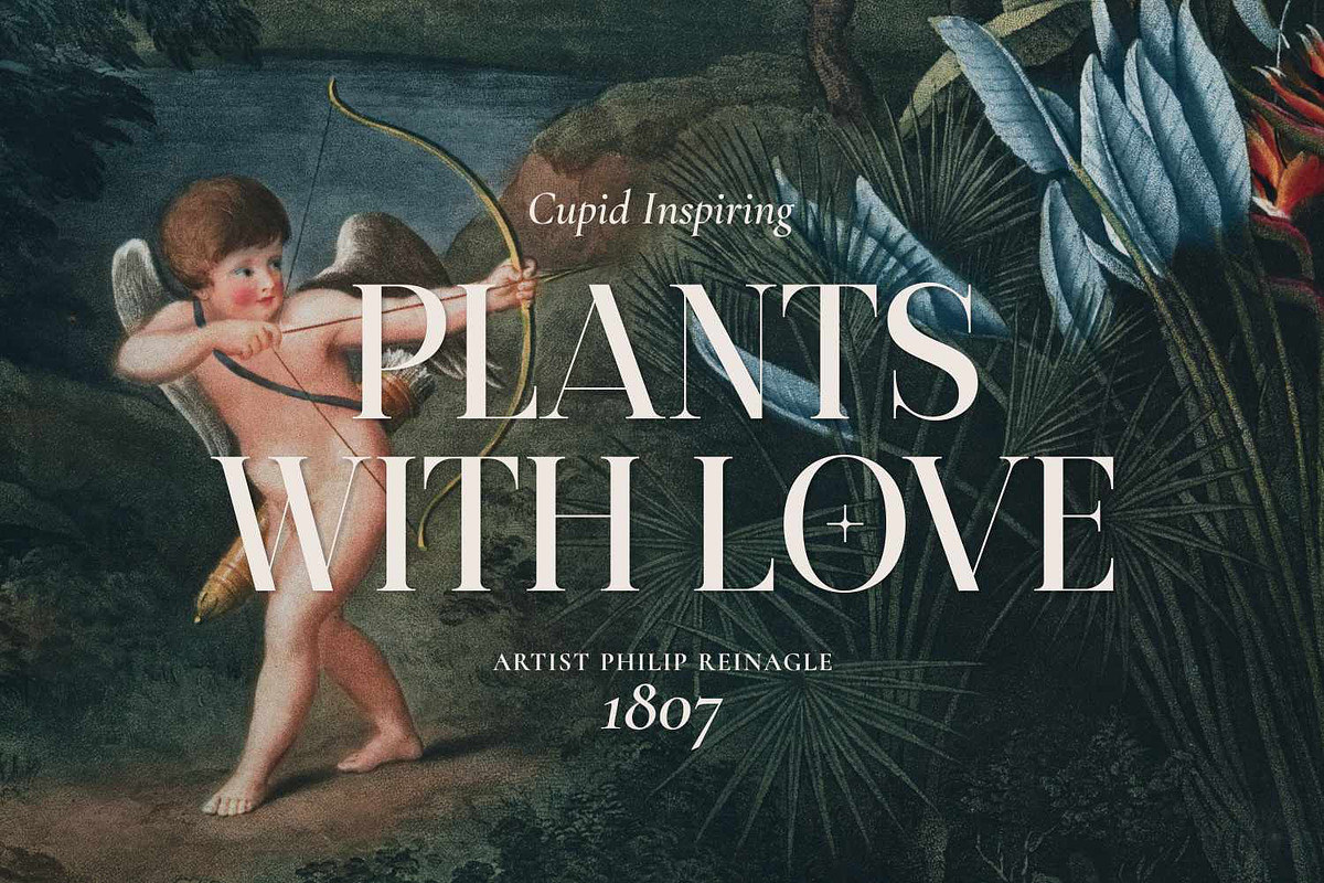 Burnt Anchor - Romantic Serif Font, a Serif Font by Imoodev (Photo 4 of 5)