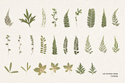 242 Vintage Dried Flowers, an Object Graphic by Ksuview (Thumbnail 10 of 11)
