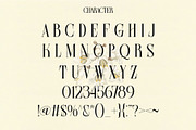 Farqey Denours Serif Font, a Serif Font by Heinzel Std (Thumbnail 10 of 19)