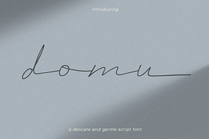 Domu | Delicate + Gentle Script