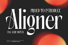 Aligner Tall Modern Serif Display