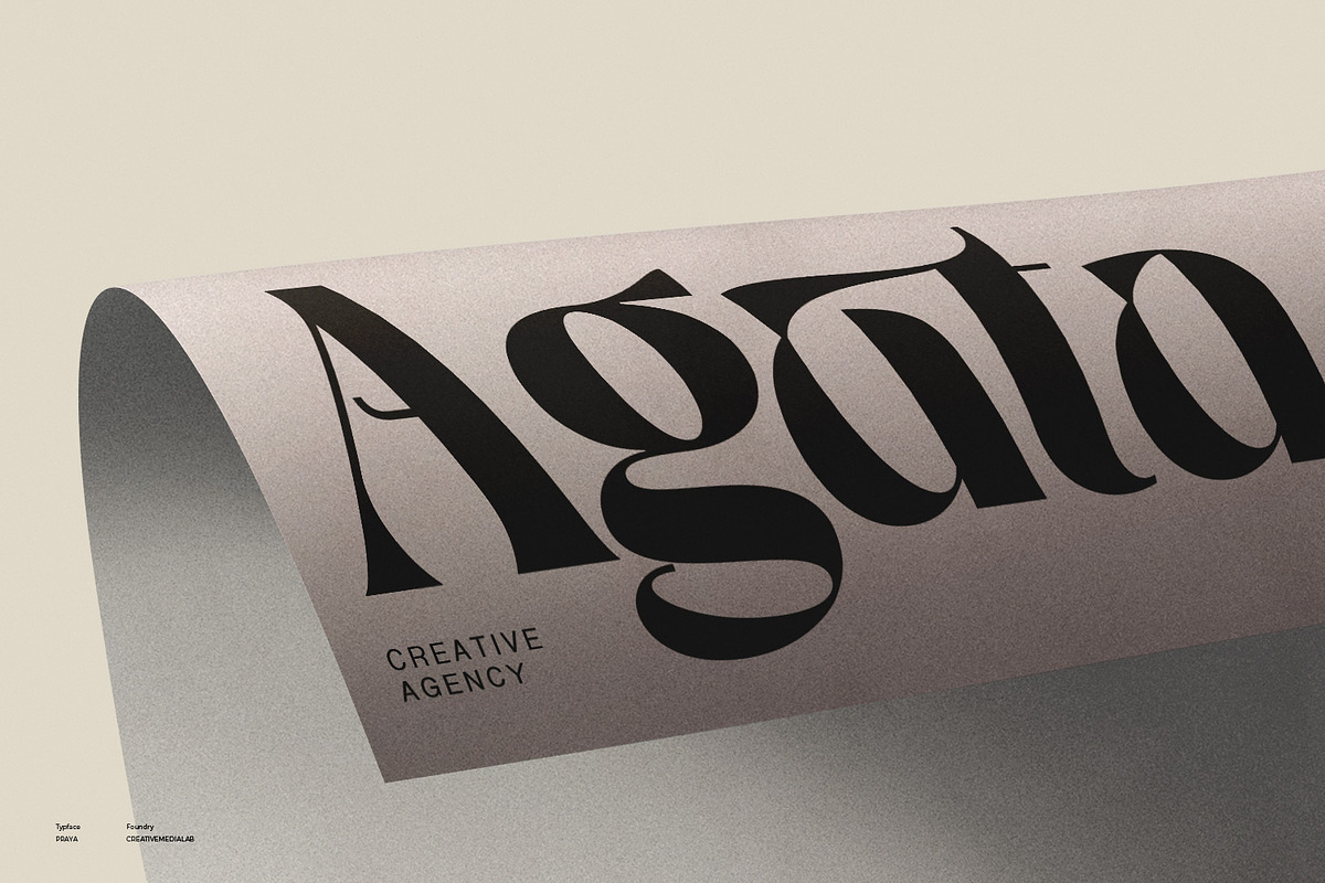 Praya - Modern Branding Font, a Serif Font by creativemedialab (Photo 2 of 17)