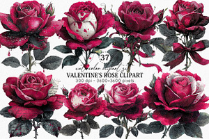 Valentine’s Rose Clipart Bundle, an Illustration by Canvas Craft