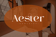 Mestro Serif || Modern Ligature, a Serif Font by ToniStudio (Thumbnail 5 of 10)