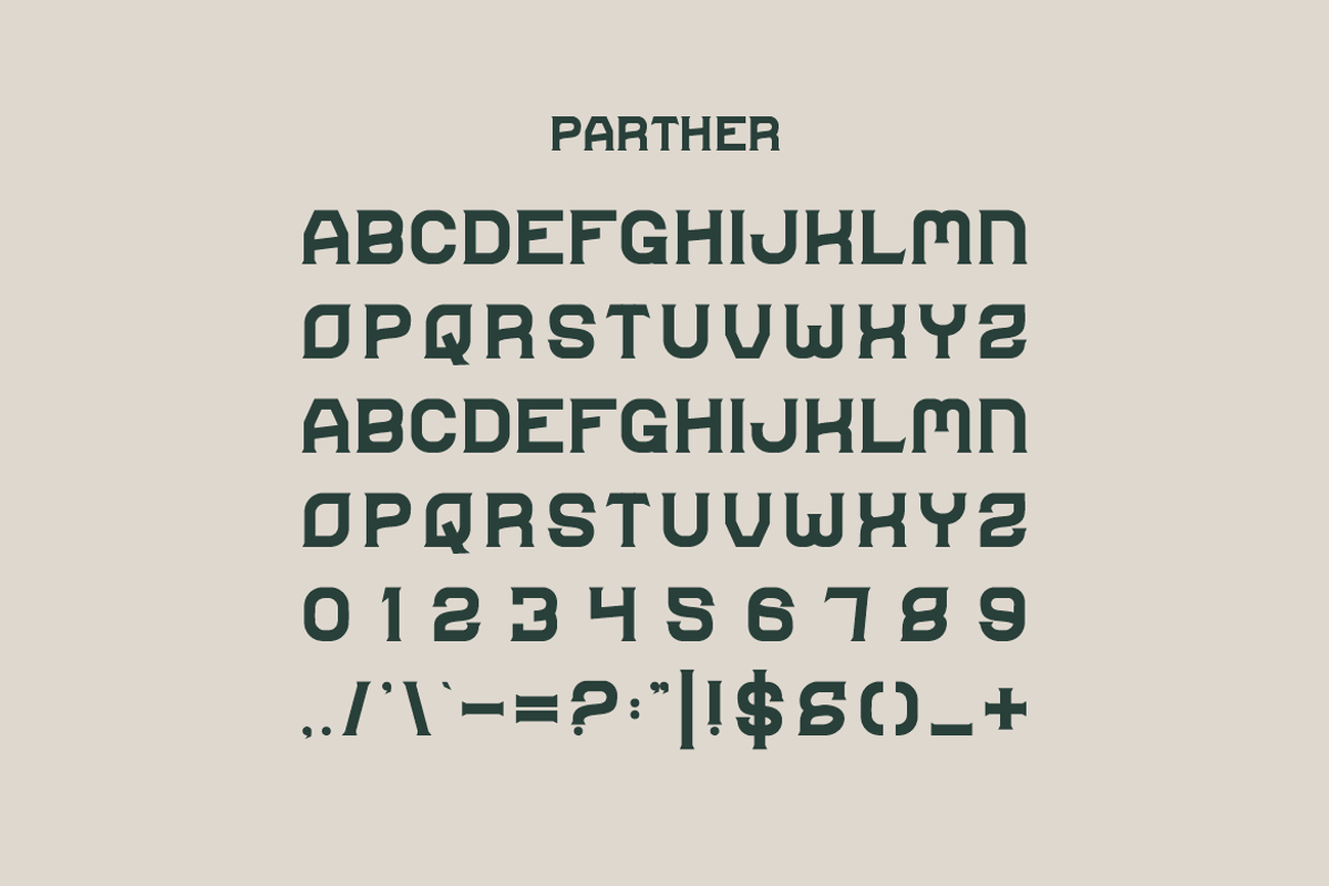 Parther- Vintage Font, a Serif Font by Iqsiart Studio (Photo 2 of 7)