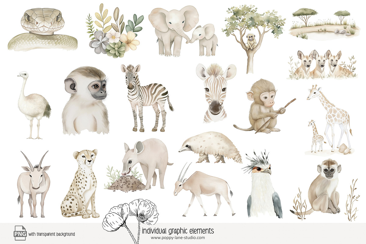100 African savanna animals clip art, an Animal Illustration by Poppy Lane Studio (Photo 2 of 12)