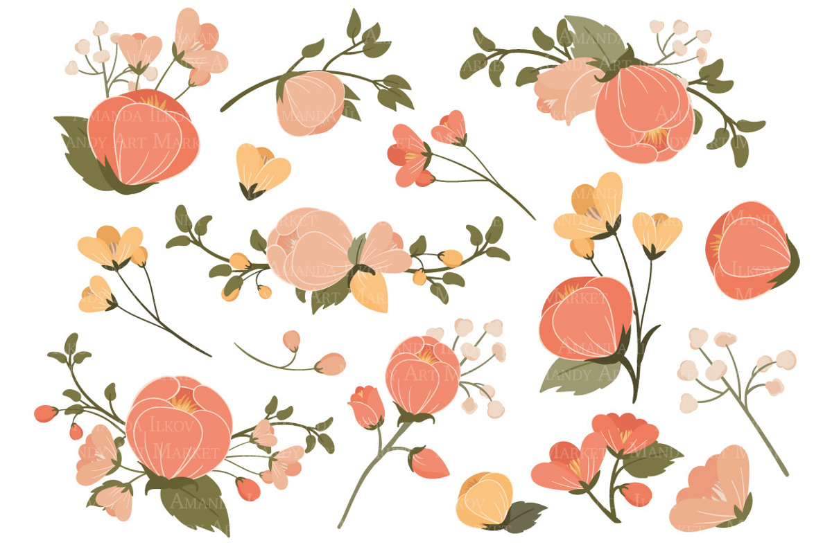 Peach Floral Vectors & Clipart, an Illustration by Amanda Ilkov (Photo 2 of 3)