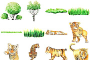 REALISTIC TIGER WATERCOLOUR CLIPART, an Animal Illustration by LilyBoo Clipart (Thumbnail 3 of 5)
