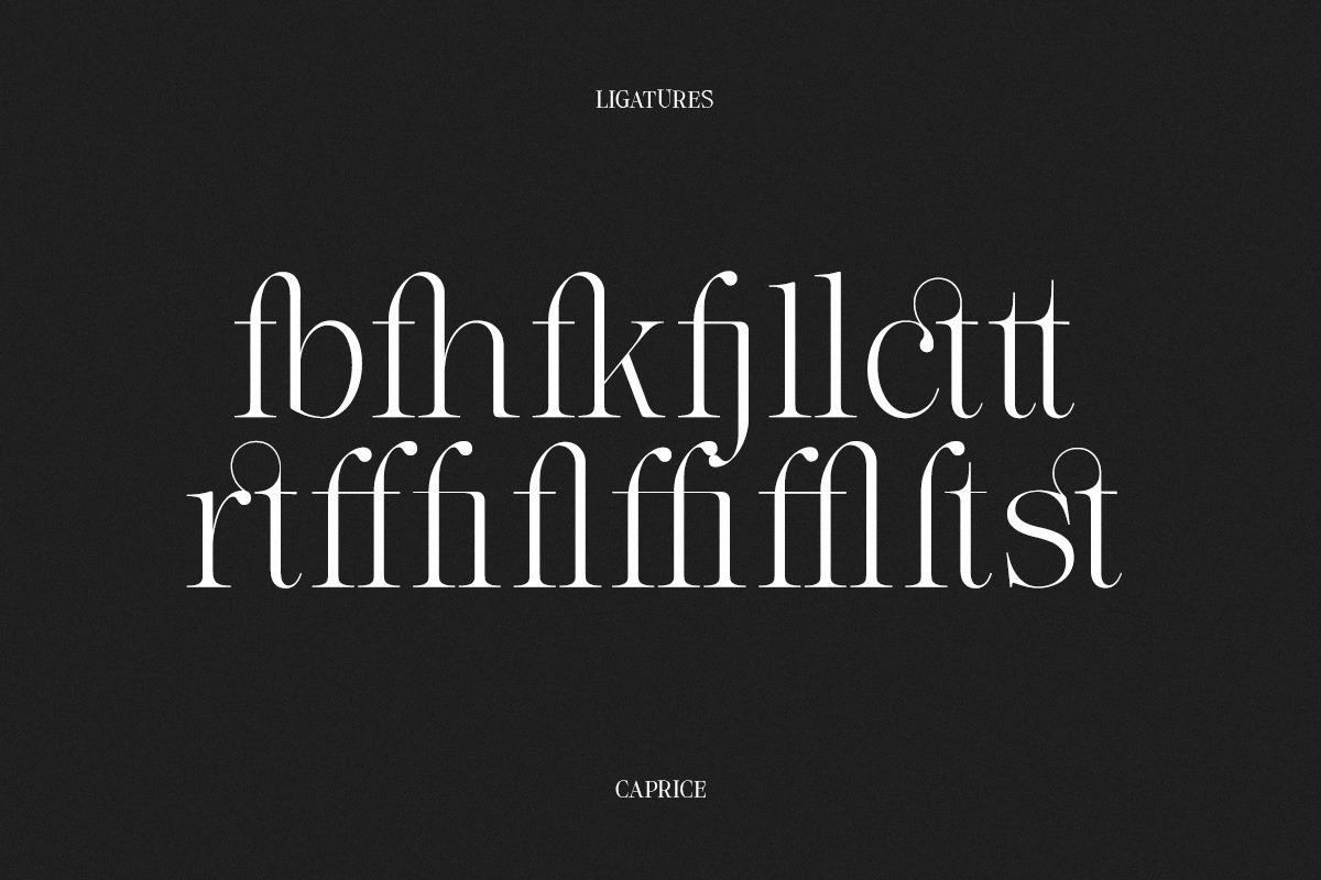 Lifestyle Icons | 8 Font Files, a Serif Font by Pista Mova (Photo 19 of 21)