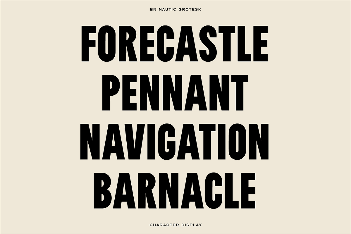 The Diverse Font Bundle, a Sans Serif Font by Bnick (Photo 25 of 34)