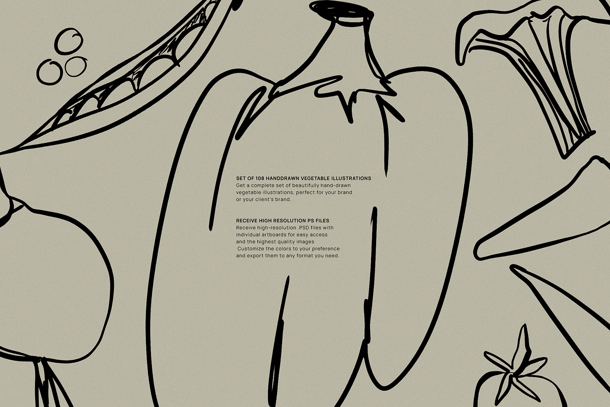 Hand drawn vegetable Illustrations, a Food Illustration by GFB Studio (Photo 2 of 7)