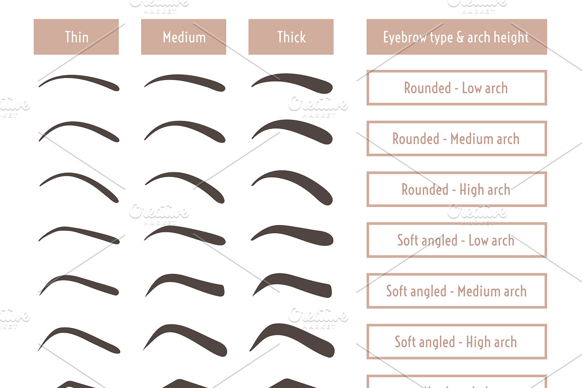 Eyebrow shapes. Various brow types., a Graphic by Cheremuha