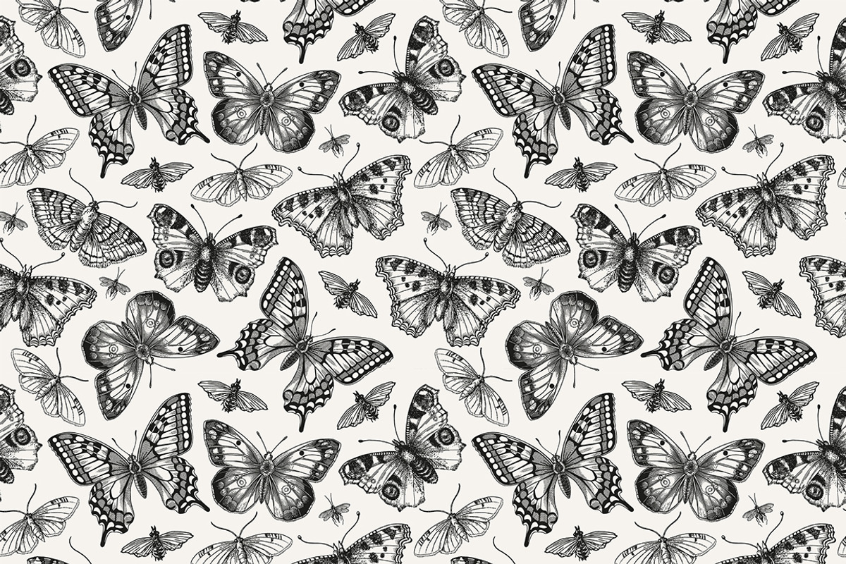 Seamless Butterflies Moth insects, a Pattern Graphic by Vintage (Photo 4 of 13)