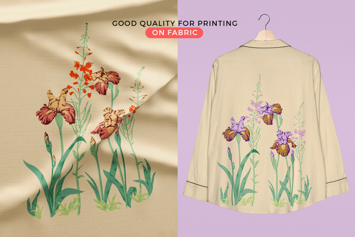 Irises Flower Set, an Object Illustration by Volga_Store (Photo 4 of 6)
