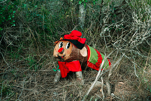 a colorful Tio de Nadal among forest branches, a Photo by Nito