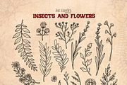 Insects and Flowers, an Animal Illustration by Ink Stories (Thumbnail 7 of 15)