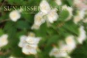 Blurry Flowers Abstract Backgrounds, a Background Graphic by Yuliya Derbisheva (Thumbnail 8 of 15)