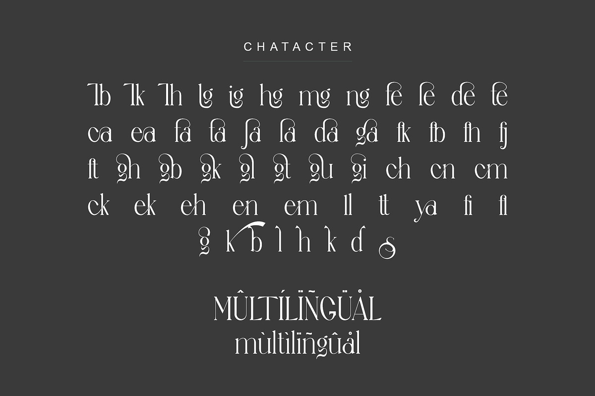 sagur unique ligature serif typeface, a Serif Font by yaqublekker (Photo 9 of 9)