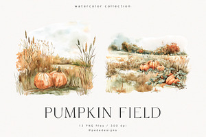 Pumpkin Field