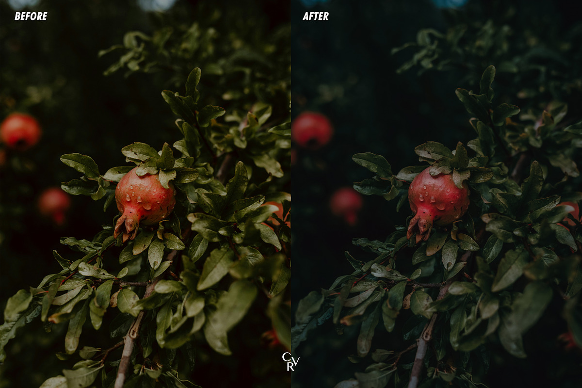 15 Mystical Lightroom Presets, a Preset Add-On by CVR Presets (Photo 6 of 7)
