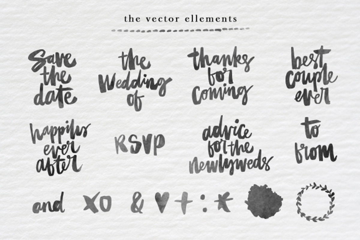 Hand Lettered Wedding Collection, an Illustration by hellopop design (Photo 3 of 4)