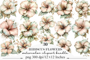 Watercolor Hibiscus Flowers Clipart, an Illustration by Designking