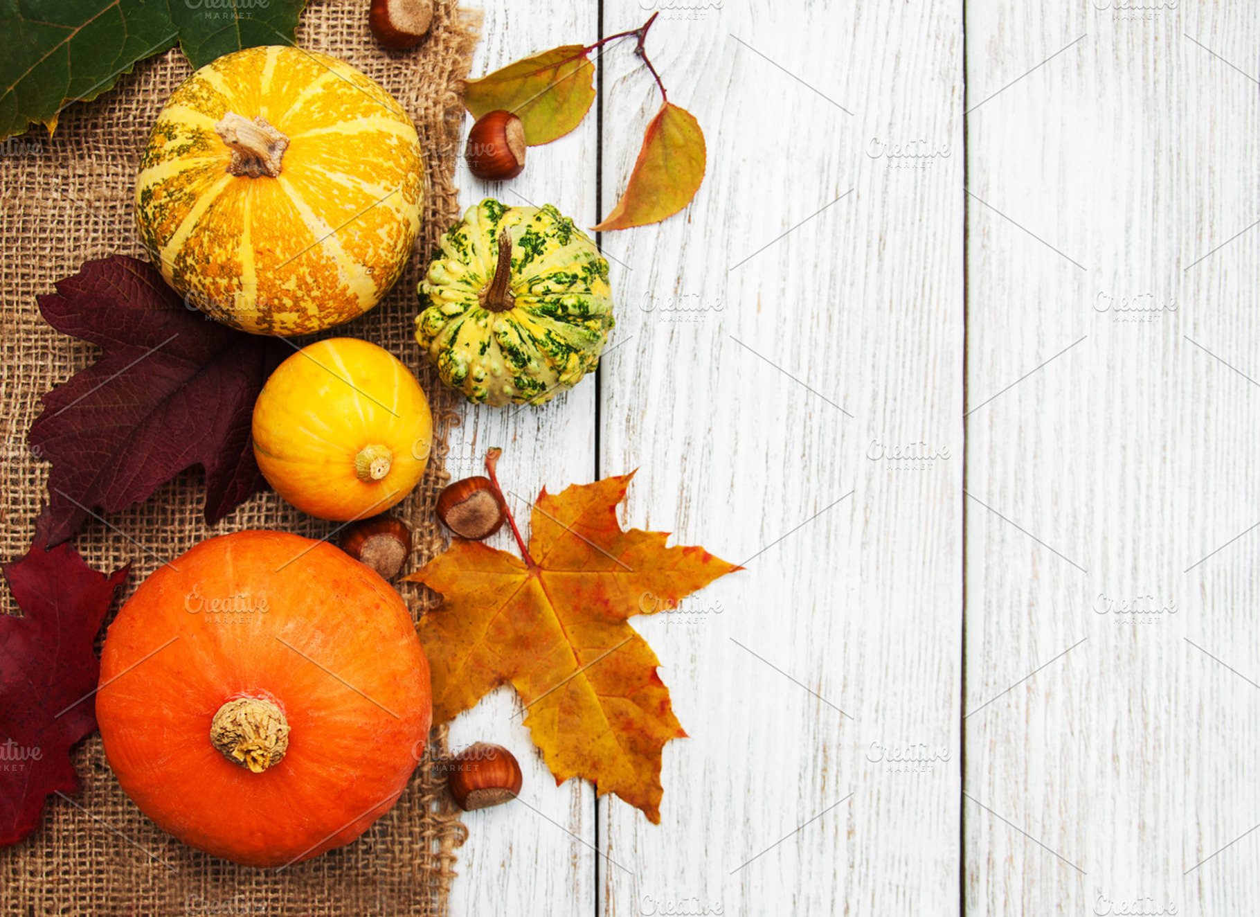 Pumpkins containing pumpkin, fall, and leaves, a Food & Drink Photo by Olena Rudo