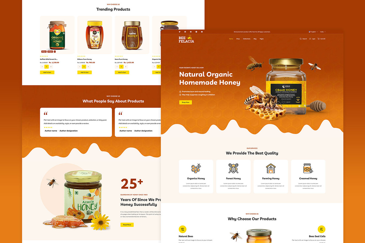 Honey Shopify Theme, a Shopify Template by LogicGo Shopify Experts (Photo 5 of 5)