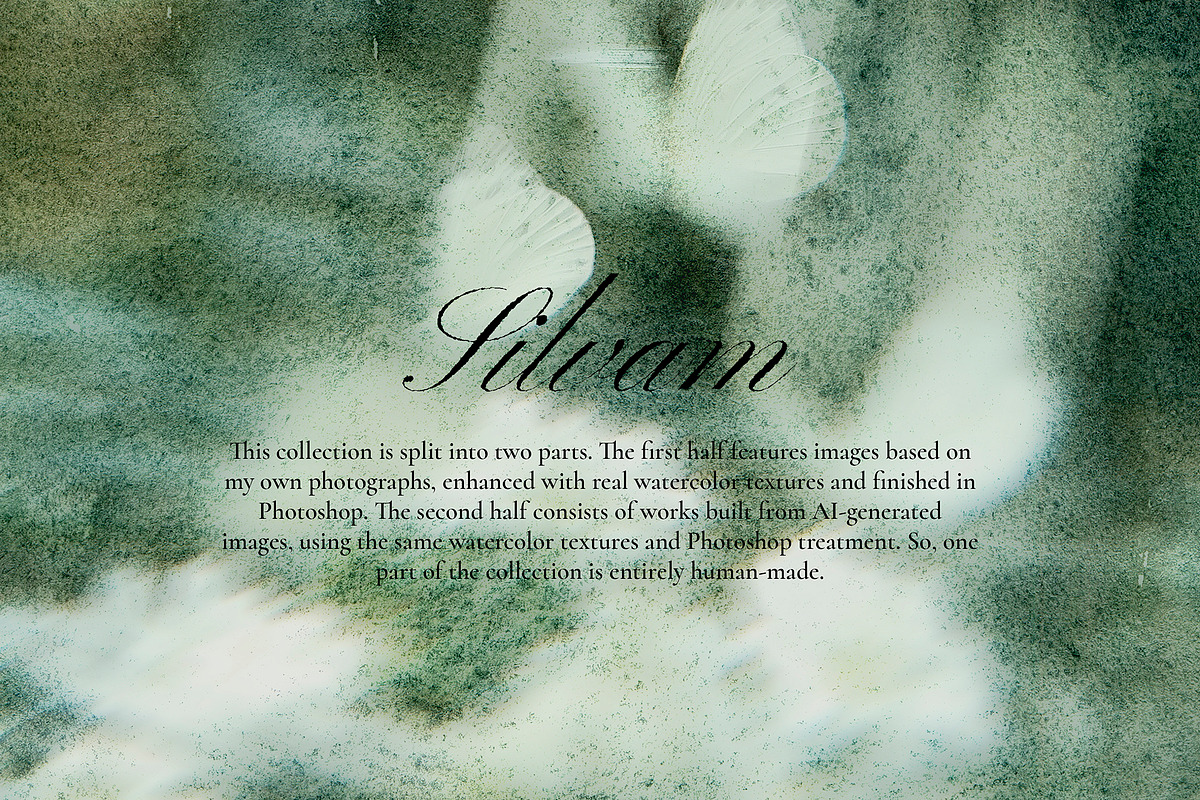 Silvam - Natural Backgrounds, a Background Graphic by Watercolor_Ma (Photo 2 of 9)