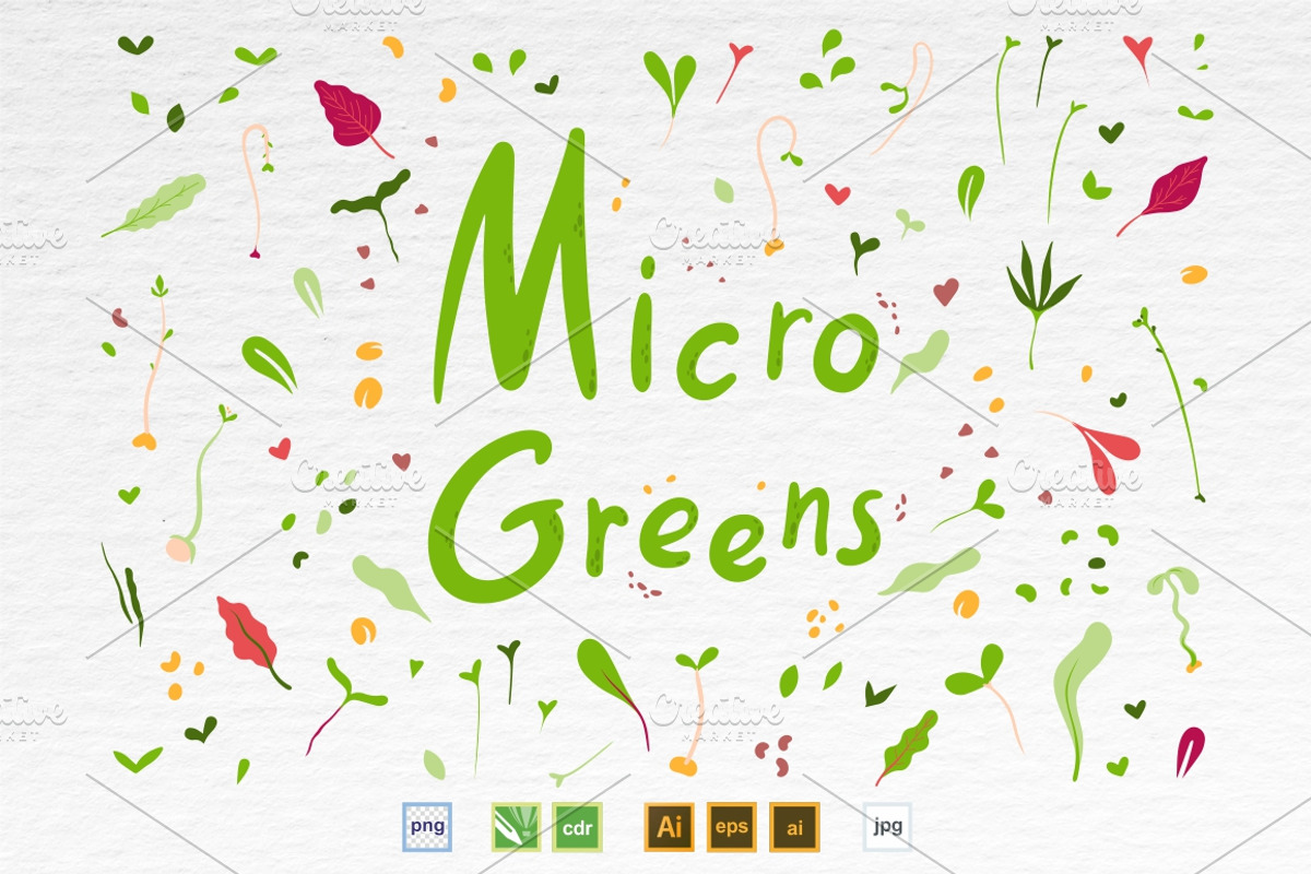 Microgreens Vector Set 1, a Food Illustration by ElenaKovalyova (Photo 2 of 21)