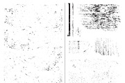 Vexture Kit #1, a Texture Graphic by Satchel & Sage (Thumbnail 6 of 6)