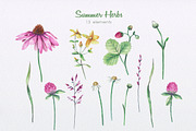 Summer Herbs, an Illustration by oKOLOstyle (Thumbnail 3 of 5)