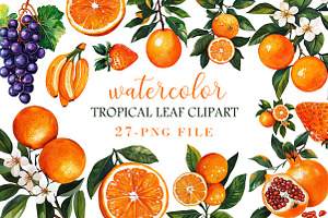 Watercolor Orange Fruit's Clipart PN, an Illustration by Libby Wishes