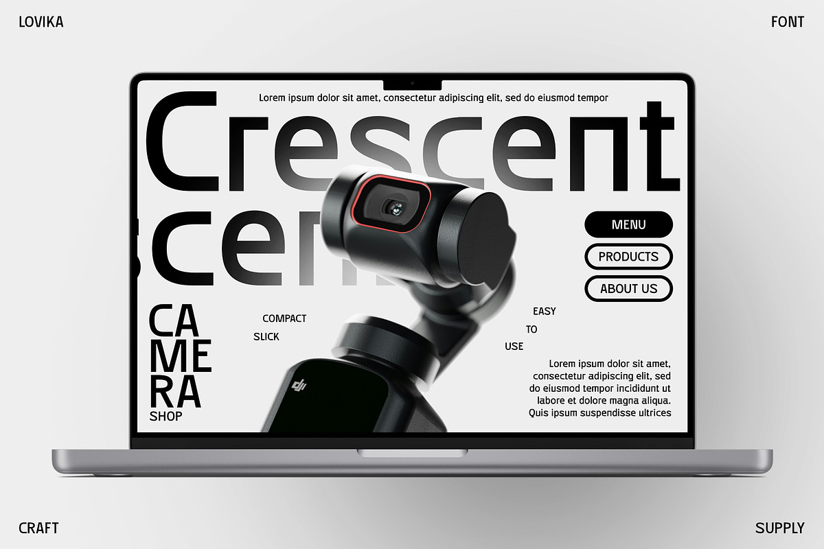 Lovika – Contemporary Font, a Sans Serif Font by Craft Supply Co. (Photo 4 of 8)