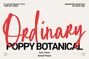 Raveling Melany - Messy Handwritten, a Handwritten Font by Zarma Type (Thumbnail 5 of 12)