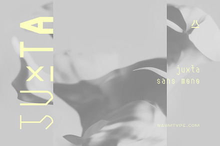 Juxta Sans Mono | 8 fonts, a Sans Serif Font by NAUM
