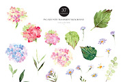 Watercolor flower - Hydrangea, an Illustration by Beigetime (Thumbnail 7 of 9)