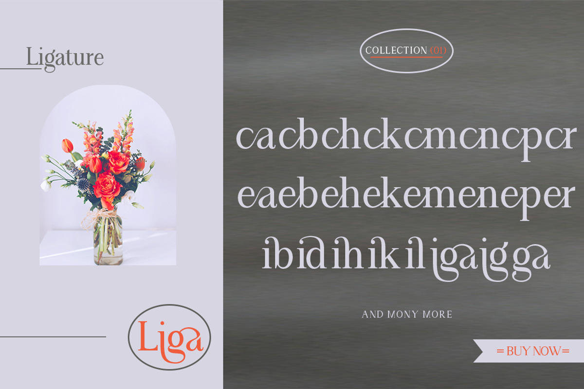 Angilena, a Serif Font by Mantype Studio (Photo 10 of 14)