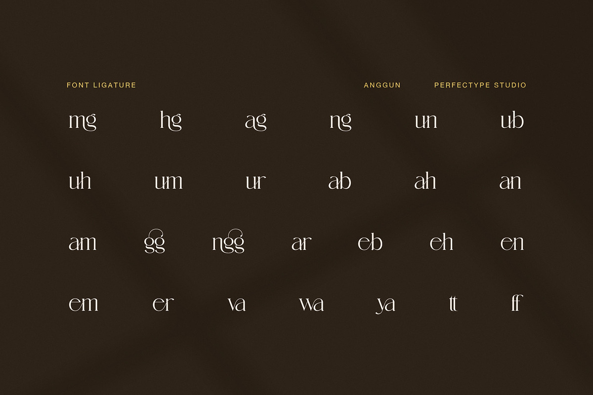 Anggun Elegant Fashion Serif Font, a Serif Font by Perfectype (Photo 8 of 8)
