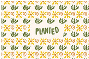 Planted Flower Sun Illustrations, a Solid Icon by CreativeWilderness (Thumbnail 12 of 13)