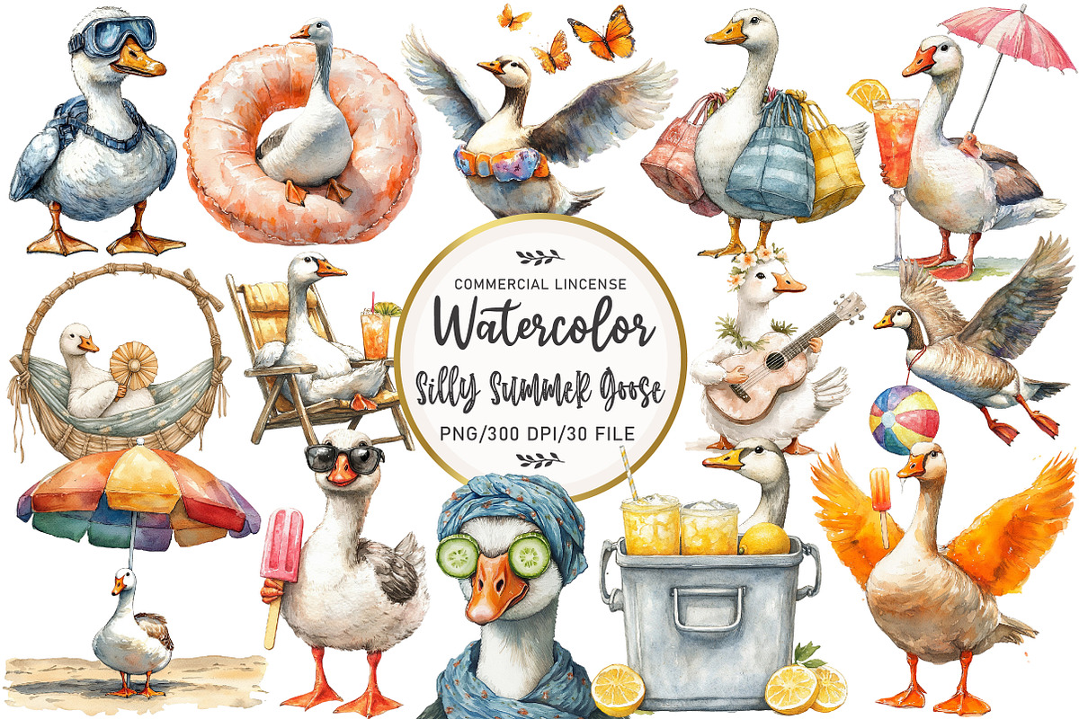 Silly Summer Goose Clipart, an Illustration by OK Design (Photo 1 of 5)