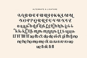 Bemolin Elegant Branding Font, a Serif Font by RantautypeStudio (Thumbnail 18 of 19)