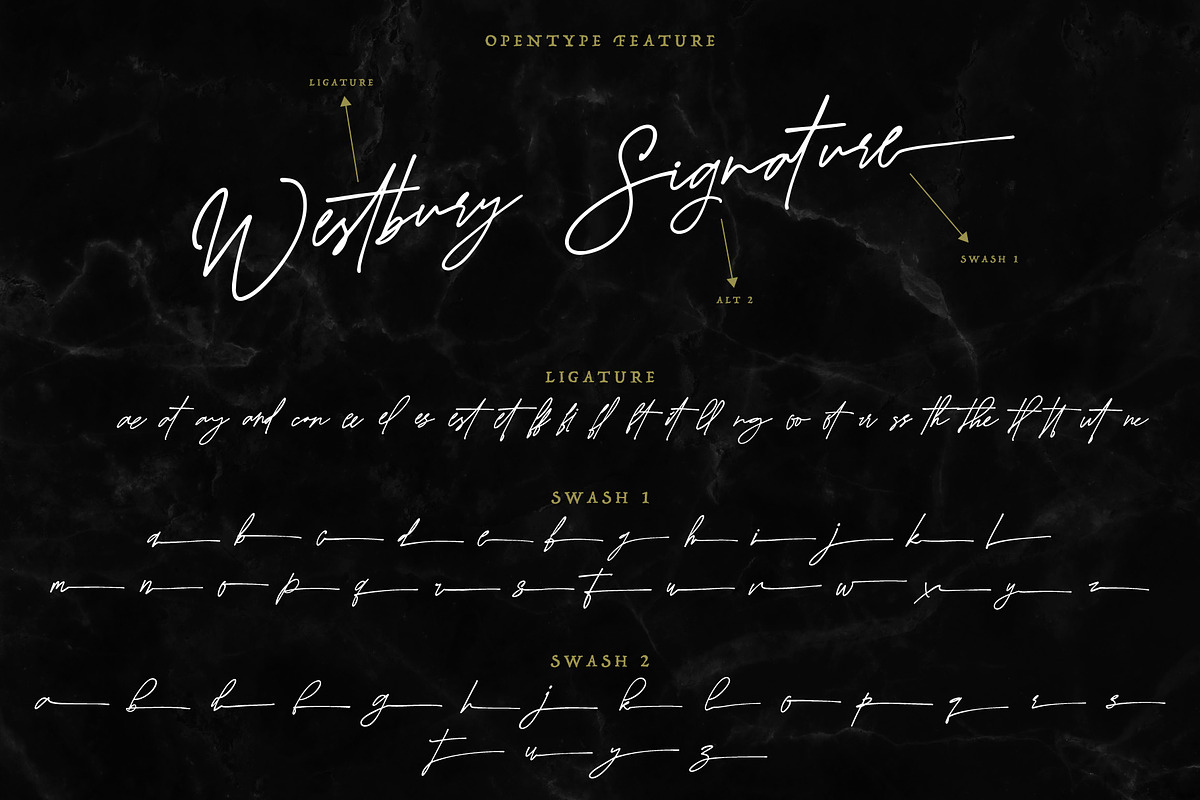 Westbury Signature, a Script Font by Fontsgood (Photo 6 of 7)