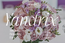 Yandrix | Serif Regular & Italic
