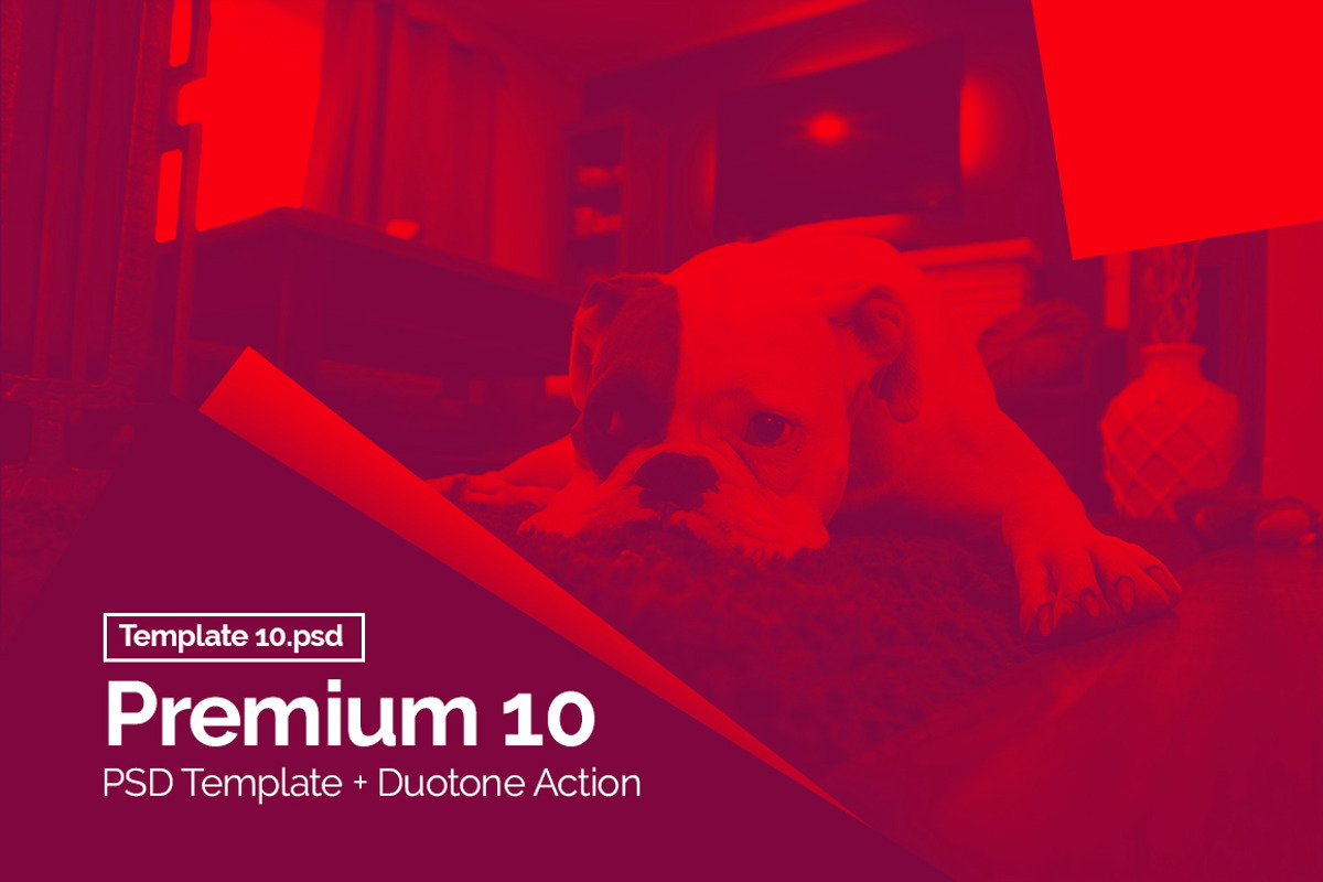 PSD Template + Duotone Action, an Action Add-On by Graphicboom (Photo 12 of 32)