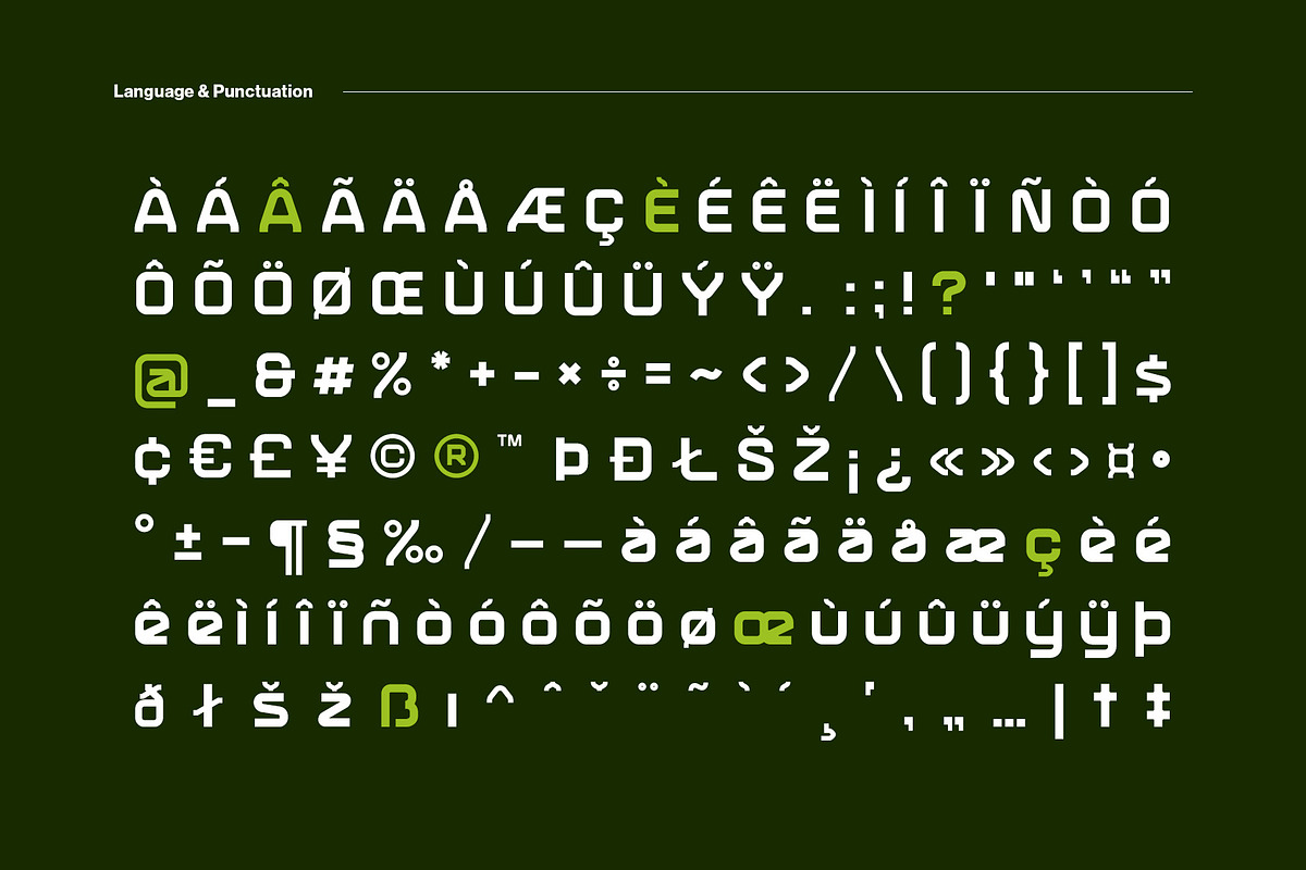 Practive Font Family, a Sans Serif Font by sentype (Photo 6 of 8)