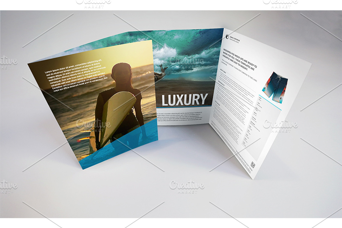 Gatefold Brochure Mockups, a Print Template by Shop Mockpro (Photo 13 of 14)