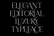 Lunévia Orliene Modern Serif, a Serif Font by Muksal Creative (Thumbnail 8 of 10)